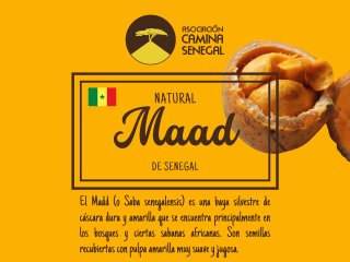 Etiquetes - Maad texto