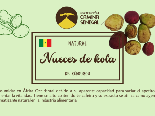 Etiquetes - Nueces de kola