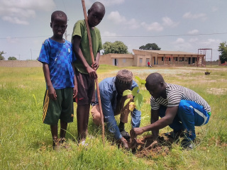 A plantar árboles en la escuela de Louly Sindiane