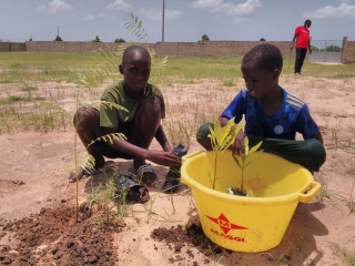 A plantar árboles en la escuela de Louly Sindiane