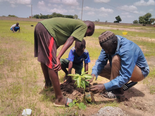 A plantar árboles en la escuela de Louly Sindiane