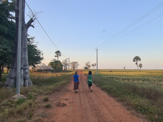 CaminarSeleki