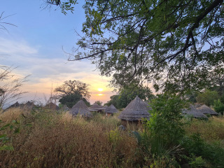Ethiolo2
