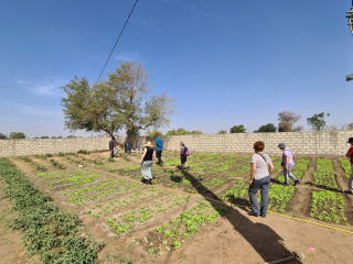 Más visita al huerto con #ojosdemujer
